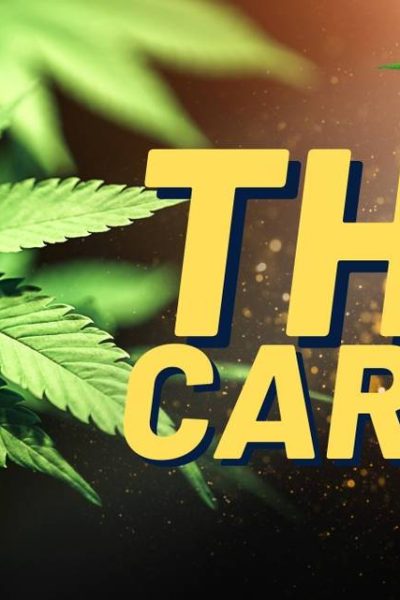 THCP Vape Carts: Higher Potency Supporting Adult Consumer Preferences