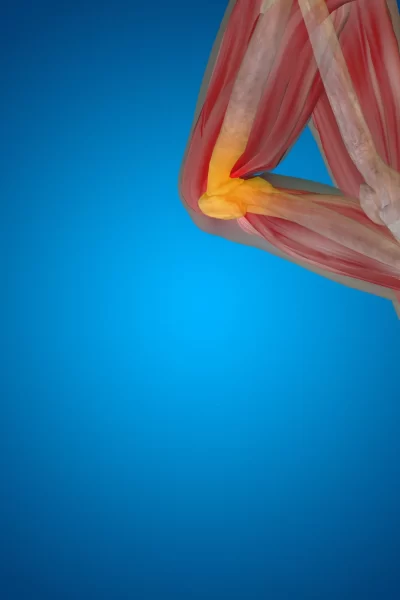 Peptides Or Conventional Options? Understanding Different Approaches To Bone Recovery