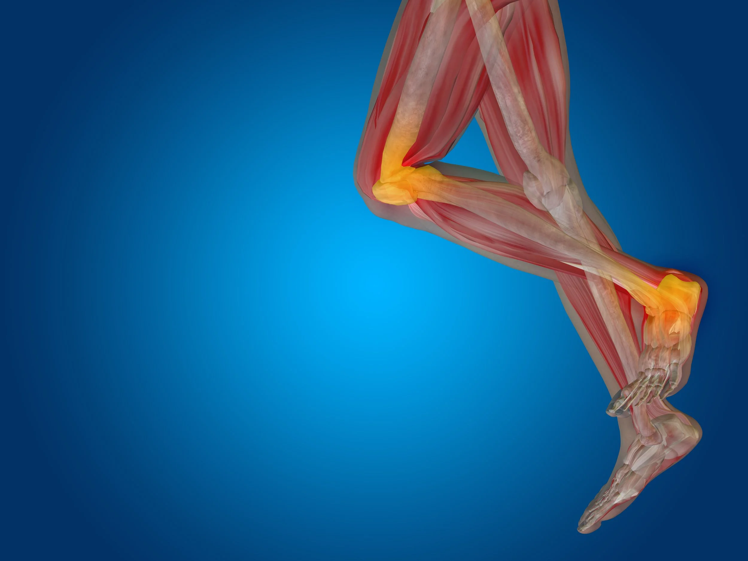 Peptides Or Conventional Options? Understanding Different Approaches To Bone Recovery
